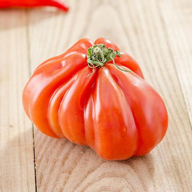 Costoluto Genovese Tomato Seeds - The Pepper Pantry (Formerly Marie Sharp's)